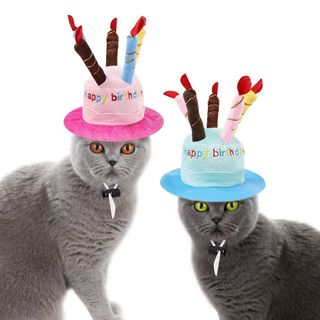 Fødselsdagshat til Kat