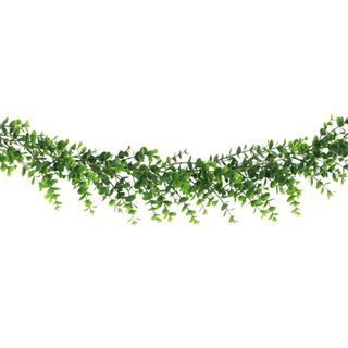 Guirlande Eukalyptus