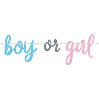 Guirlande Gender Reveal Boy or Girl