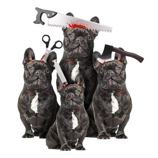 Halloween Props til Hunde