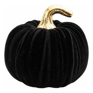 Halloweenpumpa i Velour Svart/Guld