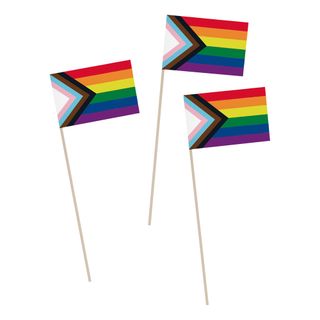 Håndflag Progress Pride