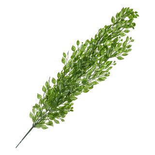 Hængende Blade Grønne