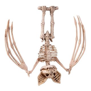 Hængende Skeletflagermus Prop
