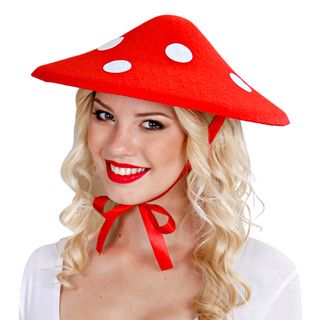 Hat Fluesvamp