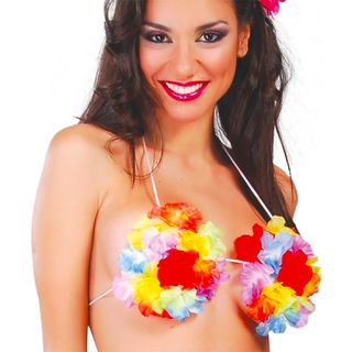 Hawaii BH