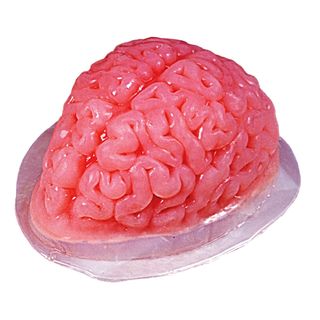 Geléform Hjerne