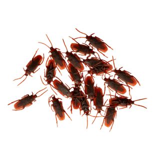 Kakerlakker i Plastik