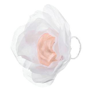 Kasteserpentinere Blomster