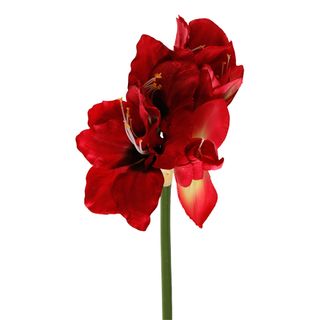 Kunstig Dekorationskvist Amaryllis