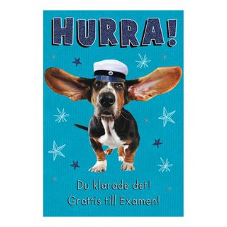 Kort Examen Hurra!