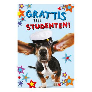 Kort Studenten Hund