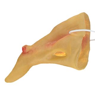Kroget Heksenæse i Plast