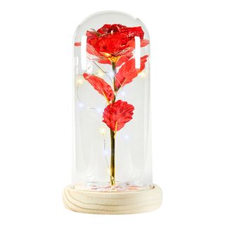 LED Evighedsrose i Glaskuppel