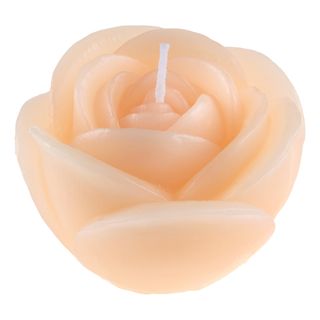 Lys Roseformet Peach