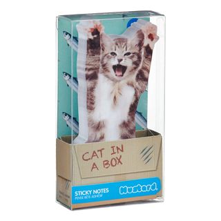 Mustard Cat In A Box Sticky Notes
