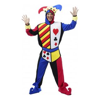 Hofnar Kostume