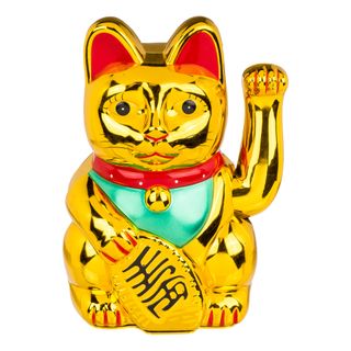 Orientalsk Vinkende Kat