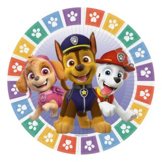 Papasietter Paw Patrol