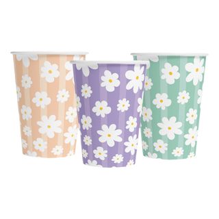 Papkrus Daisies