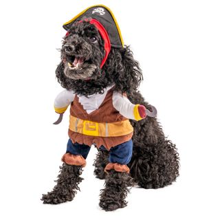 Pirat Kostume Kat/Hund