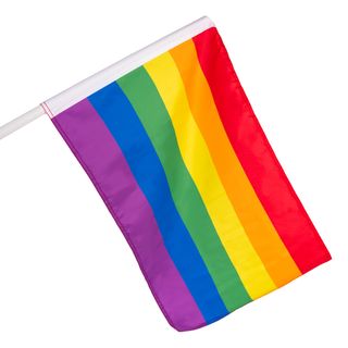Pride Facadeflag med Stang