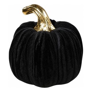Gresskar Halloween i Velur Svart/Gull Liten