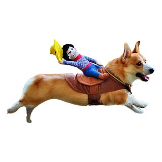 Ridende Cowboy Hundekostume