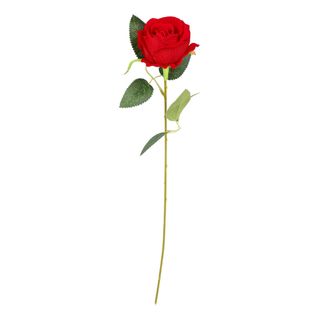 Rød Rose i Plastik