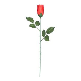 Rød Rose