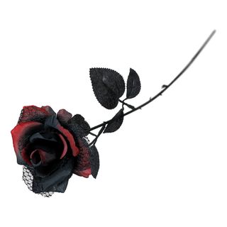 Rose i Plast Rød/Sort