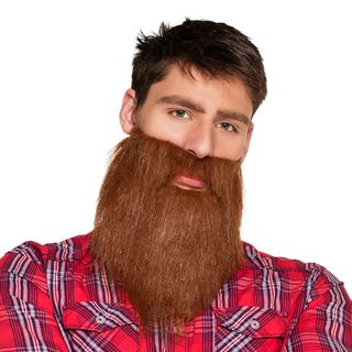 Skæg Hipster