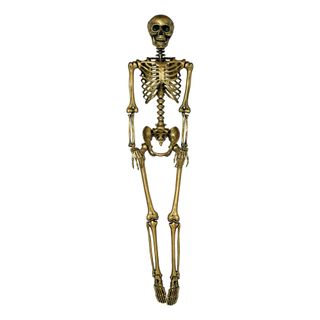 Skelet Guld Prop
