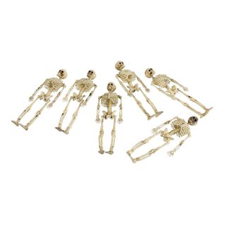 Skelet i Pose