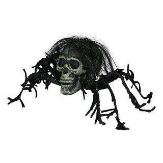 Skelet Edderkop Prop