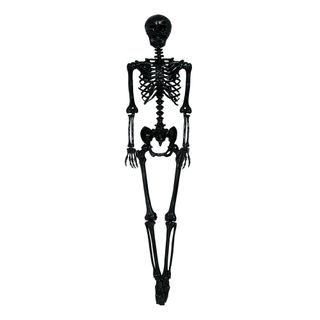 Skelet Sort Prop