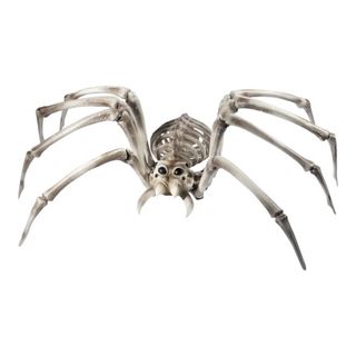 Gigantedderkop Skelet Prop