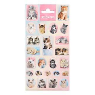 Stickers Katte