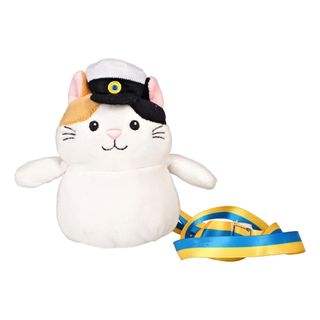 Studentnalle Katt