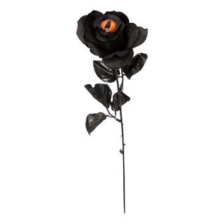 Sort Rose med Øje