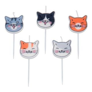 Kagelys Katte