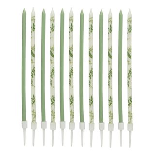 Kagelys Långa Grønne Blade Botanic