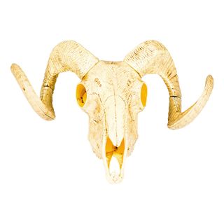 Vægdekoration Dyreskalle Wild West