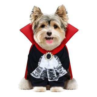 Vampyr Hund Maskeraddräkt