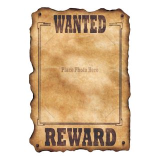 Western Wanted Skilt