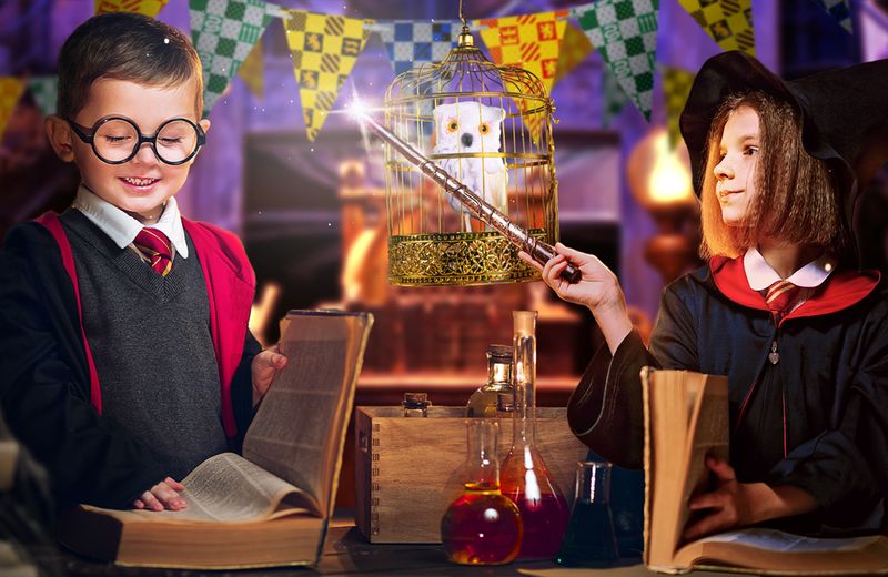 Harry Potter Party