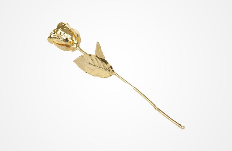 Gullbelagt Rose