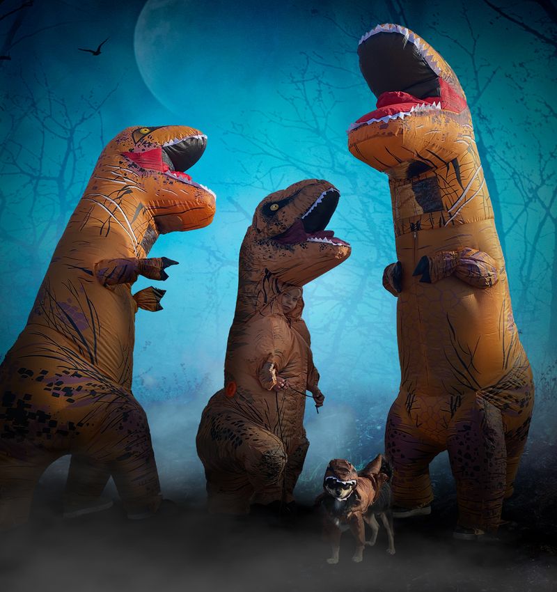 Dinosaurer