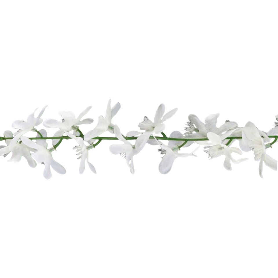 Girlang Jasminblommor från CHAKS