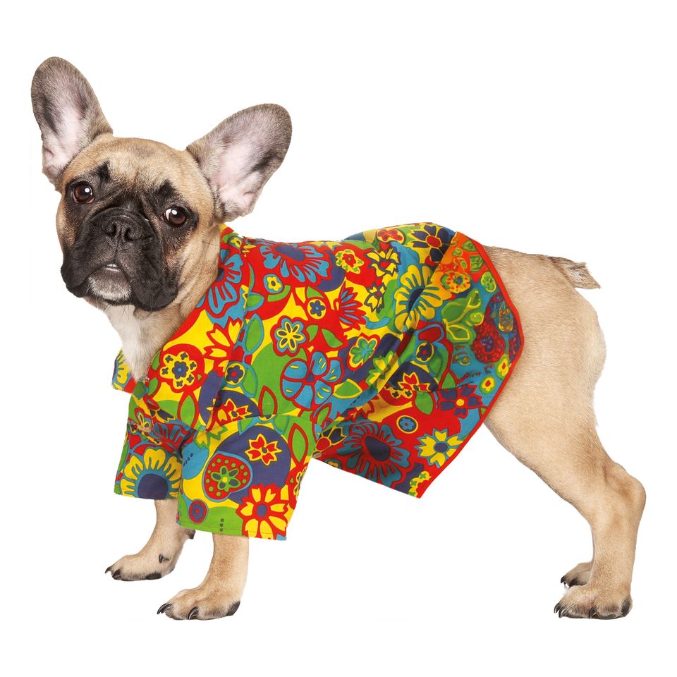 Hawaii Maskeraddräkt för Hund från ESPA